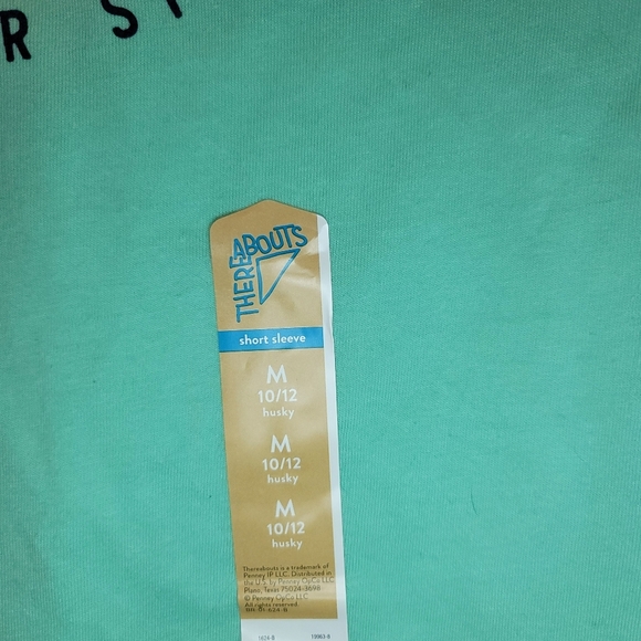 Thereabouts Short Sleeve T-shirt sz Husky M 10/12 - Picture 2 of 3